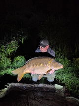 Rob Wolsink review photo