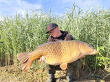 Rob Wolsink review photo