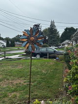 Crista Ohio review photo