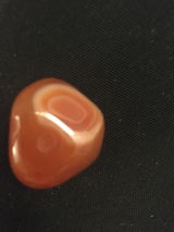 Celine G. review photo