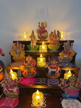 Snigdha Mehrotra review photo