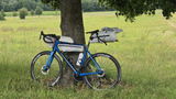 Harald Rieger review photo