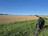 ritter review photo