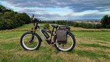 Tony Mealing review photo