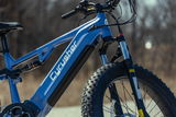 Randy Rides review photo