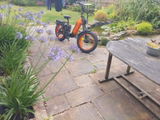 SG review photo