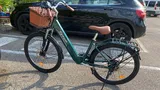 Domenic A. review photo