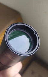 Leon review photo
