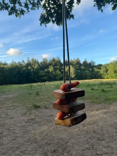 Dynamique Swing 🌿 Jouet d'enrichissement à suspendre