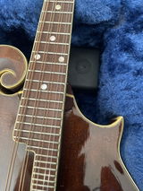 Bruno H. review photo