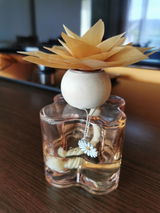 Aurelia review photo
