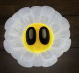 Gen review photo