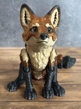 Gen review photo