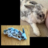 Etsy customer review photo