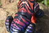 Serena B. review photo