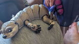 Etsy customer review photo