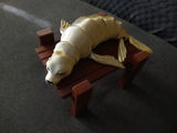 Etsy customer review photo