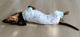 Amelia Carter review photo