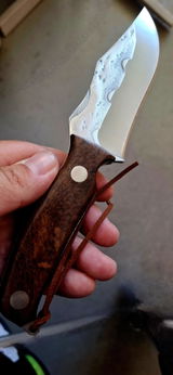 Mario Kodba review photo