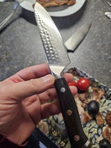 Iulian review photo