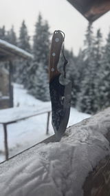Speedy review photo