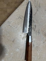 Flaviu Obreja review photo