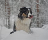 Kirsi S. review photo