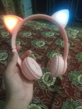 Rimshaali review photo