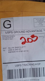 Allyn Shacklett review photo