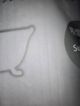 Princess S P review photo