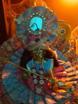 Isha Gupta review photo