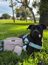 Avery review photo