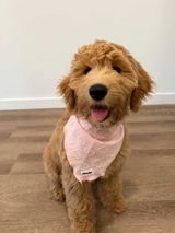 Kaylee review photo