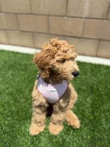 Kaylee review photo