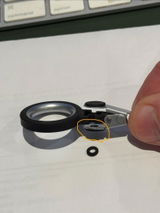 FoxP3 review photo