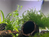 Aquarium hoarder review photo