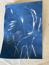 Eliane review photo