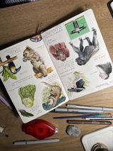 Tanciou aquarelle review photo
