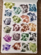 Tanciou aquarelle review photo