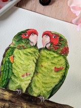 Tanciou_aquarelle_ review photo
