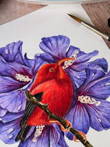 Tanciou_aquarelle review photo