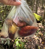 用戶圖片