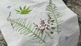 潮汐 review photo
