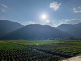 Hình ảnh người dùng