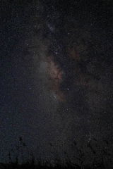 Imagen del usuario