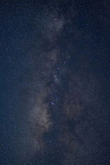Imagen del usuario