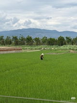 Hình ảnh người dùng