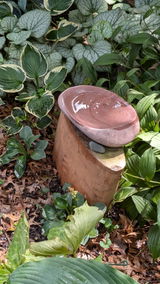 Kyna review photo
