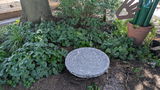 Kathy S. review photo