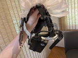 a Chocobo review photo